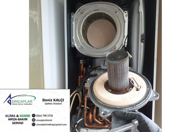 Boiler combustion assembly detail